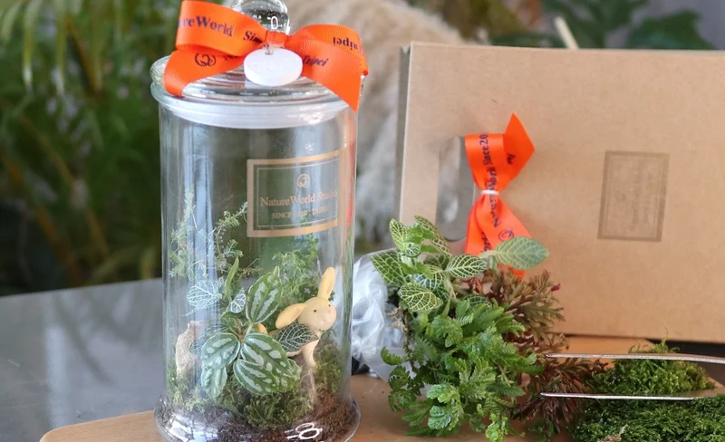 屏東: DIY手工體驗 (植物生態瓶 / 綠植星球)-KLOOK