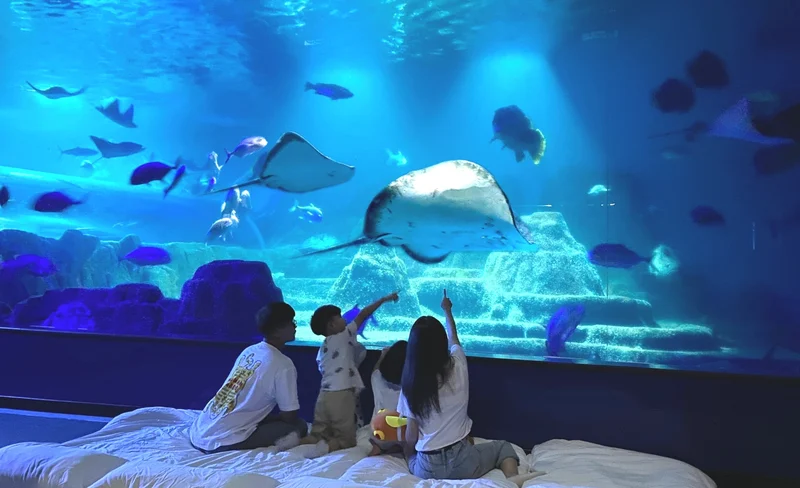 花蓮遠雄海洋公園：海洋夜未眠・夜宿水族館・住宿體驗-KLOOK