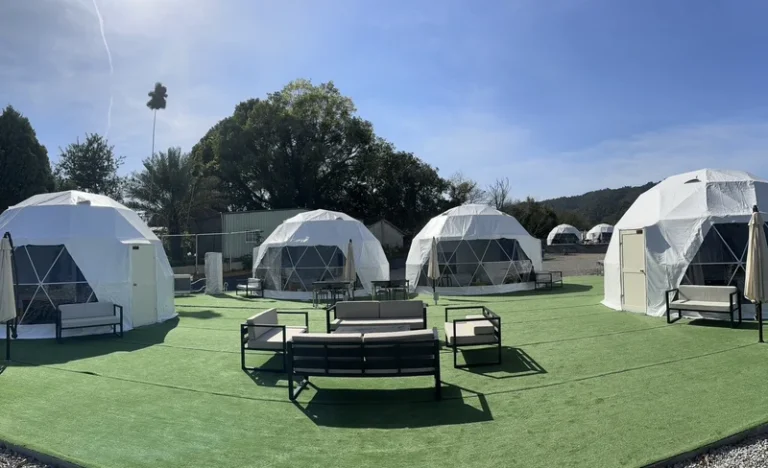 nnca4jtvdeibwtdbt031