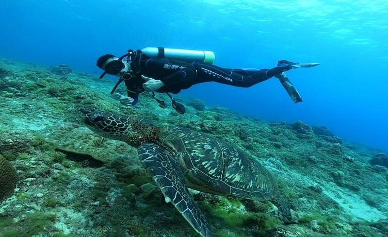 熊潛水Bear Diving - 小琉球岸潛旅遊潛水（需潛水執照）-KLOOK