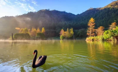 明池森林遊樂區門票-KLOOK