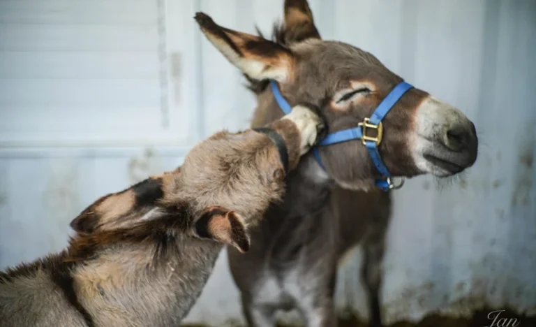 wccalq35s9xxcfudaaw2