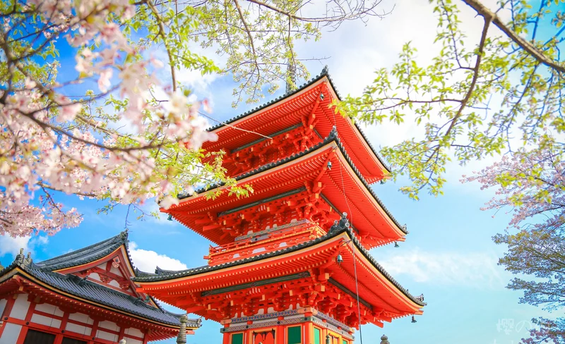 京都一日遊