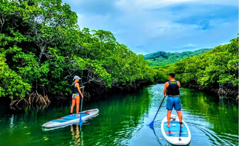 bgo4818kggirvfmbqx3v