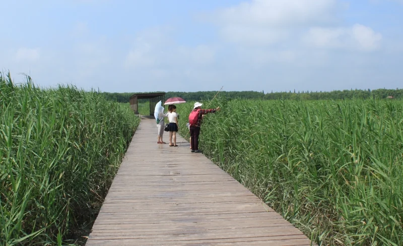 崇明島單車一日遊（上海出發）