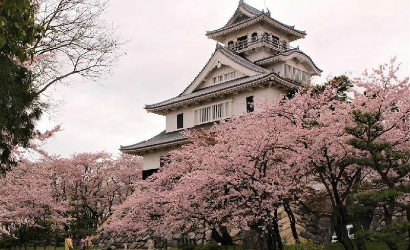 滋賀長濱散步護照（2日）