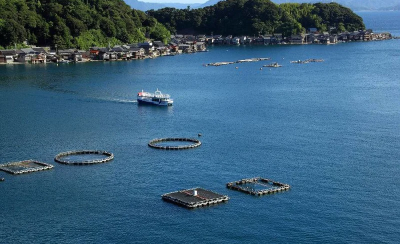 京都天橋立伊根觀光2日通票