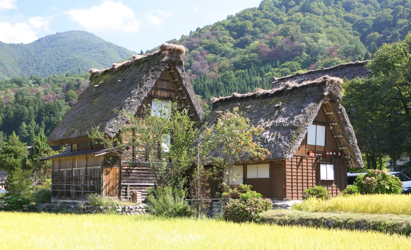 2天1夜 白川鄉 & 高山 & 金澤探索之旅（大阪出發）