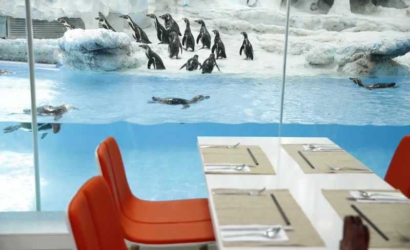 珠海長隆企鵝酒店自助餐