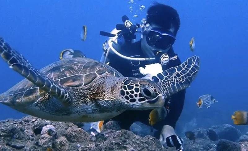 屏東: 369浮潛店 – 小琉球浮潛＆SUP 體驗・贈電子檔照片