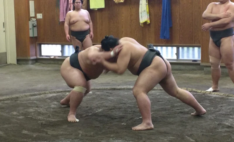東京相撲晨練參觀體驗