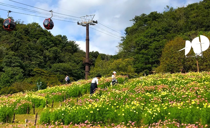 神戶精華景點一日遊（含清酒品嚐）