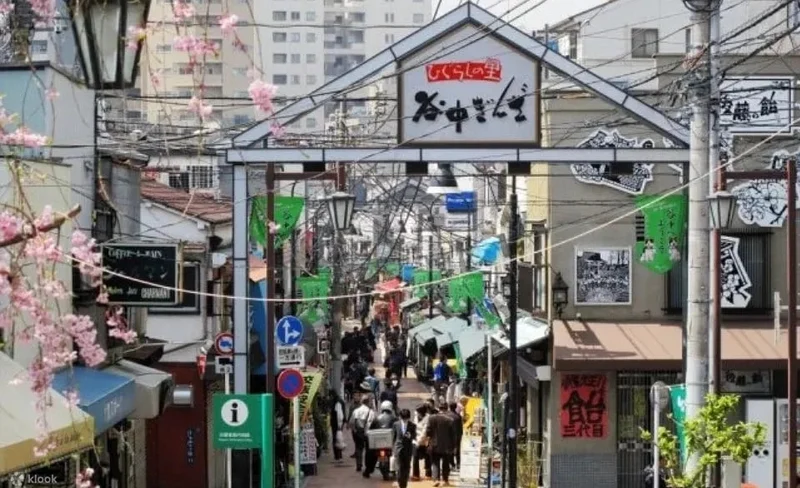 東京相撲晨練參觀體驗