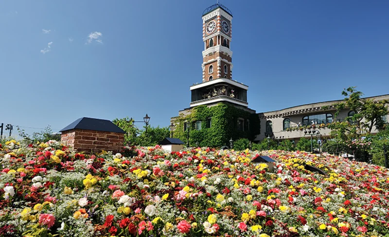 札幌北海道神宮 ＆ 白色戀人公園 ＆ 大倉山跳臺 & 場外市場