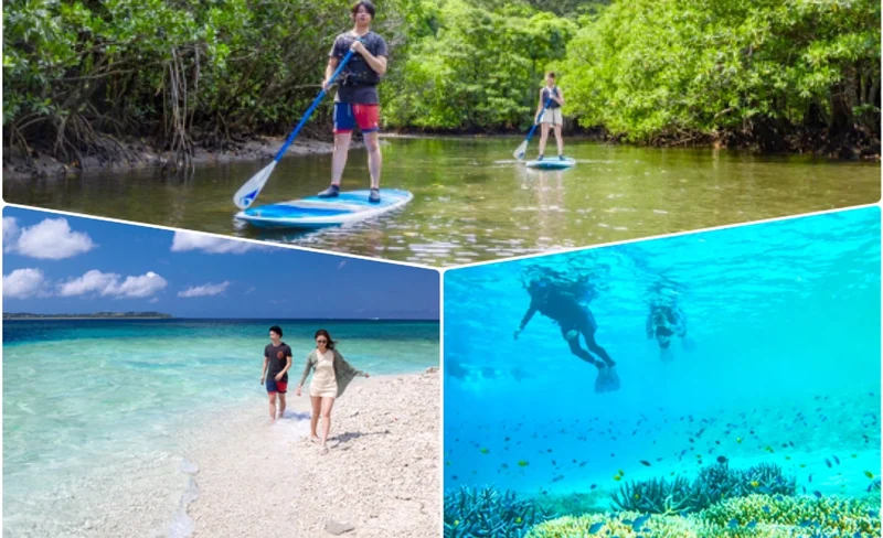 西表島浮潛＆紅樹林水上活動