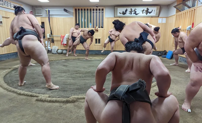 東京晨間觀看相撲練習體驗