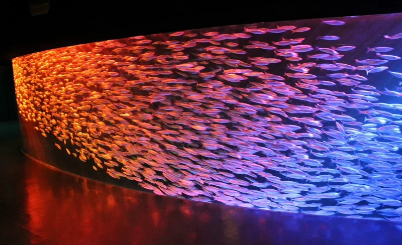 【特惠】登別尼克斯海洋公園門票