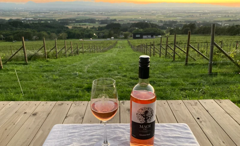 北海道湯之元溫泉旅館