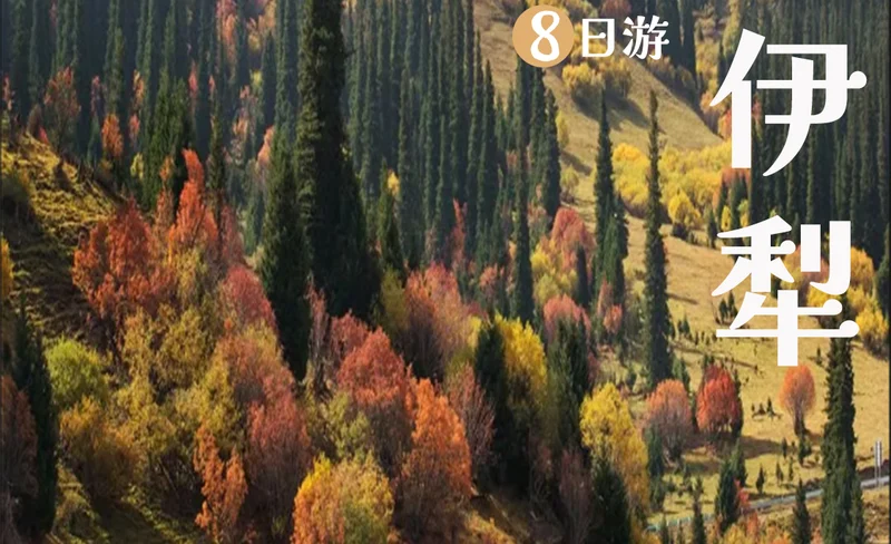 【國慶不漲價】秋日伊犁私家團8日（無人機航拍+賽里木湖下午茶+庫爾德寧火鍋+鞏乃斯林場+夏塔+那拉提河谷草原+木特塔爾沙漠+安集海）