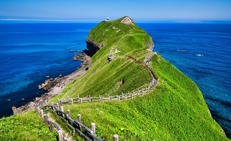 【夏季限定＆兒童免費】北海道一日遊：北海道神宮＆白色戀人公園＆小樽＆積丹半島神威岬