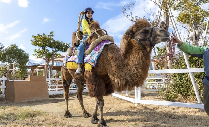 神戶動物王國門票