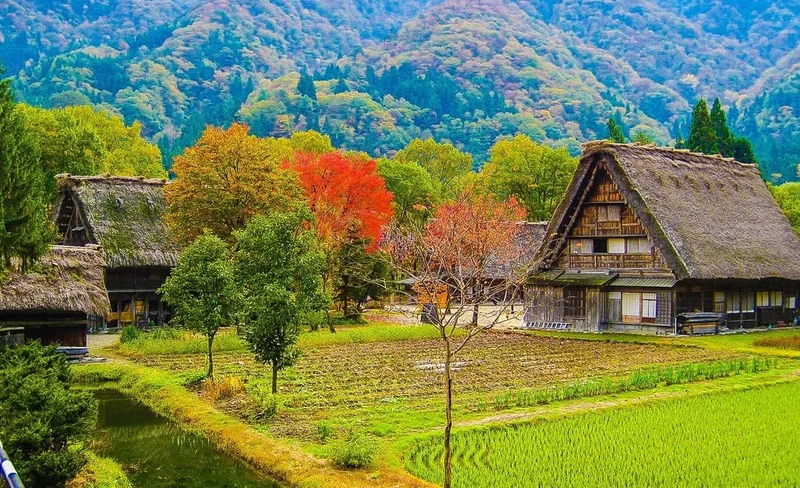 白川鄉世界遺產 & 高山徒步私人遊（名古屋出發）