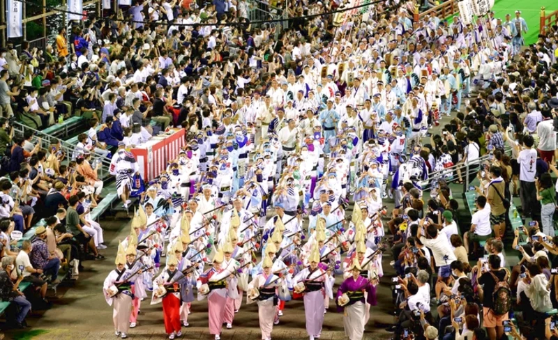 德島阿波舞祭門票