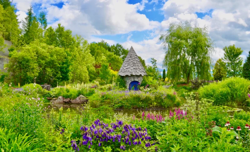 旭山動物園＆上野花園＆北竜町向日葵之旅一日遊（札幌出發）