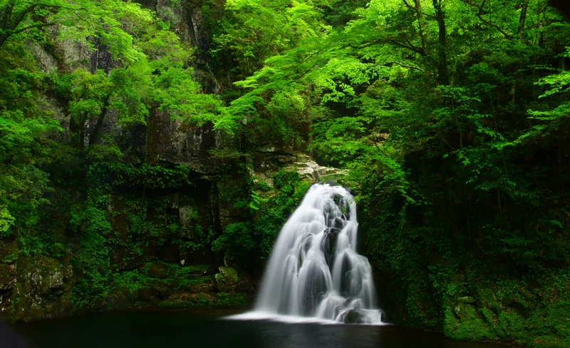 日本三重赤目四十八瀑布／忍者訓練體驗