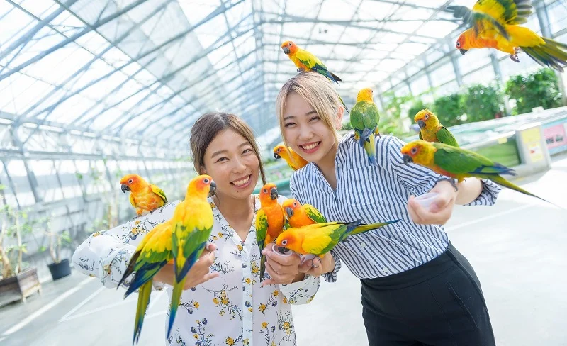 靜岡掛川花鳥園門票