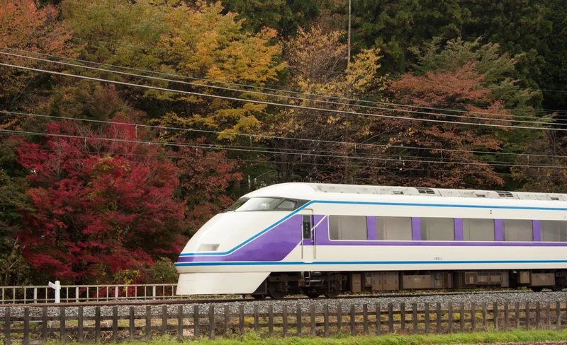 東武鐵道日光周遊券（電子票）