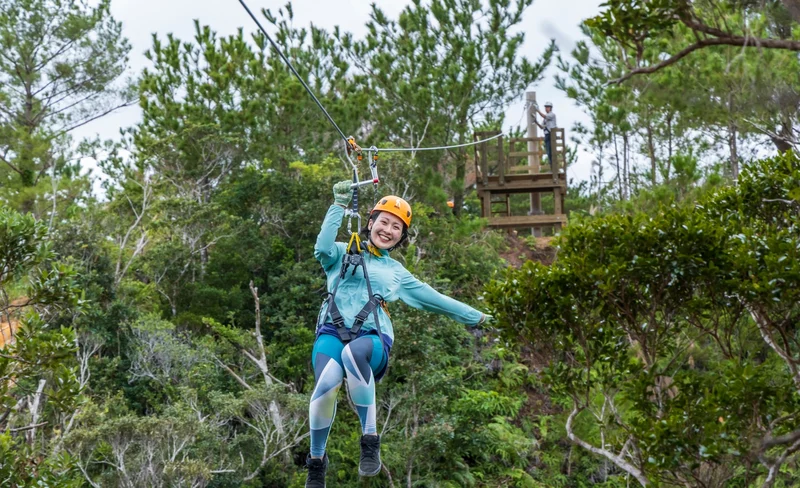 又吉咖啡農場飯店飛索體驗