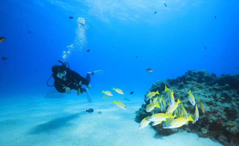 名護市貝里潛水體驗