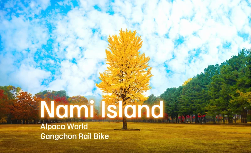 南怡島 / 韓服體驗 / 羊駝農場 / 鐵軌自行車 / 小法國村 / 早晨寧靜公園一日遊