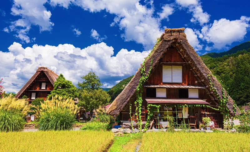 白川鄉＆高山市一日遊（大阪／京都出發）