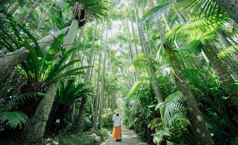 沖繩東南植物園門票