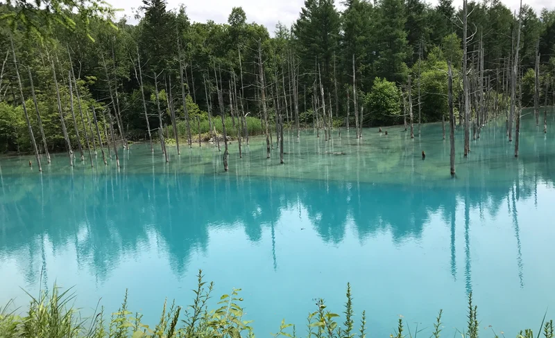 JR札幌 - 登別區域鐵路周遊券