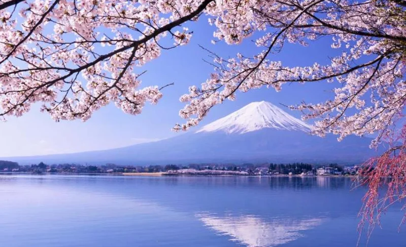 富士山經典路線一日遊（東京出發）
