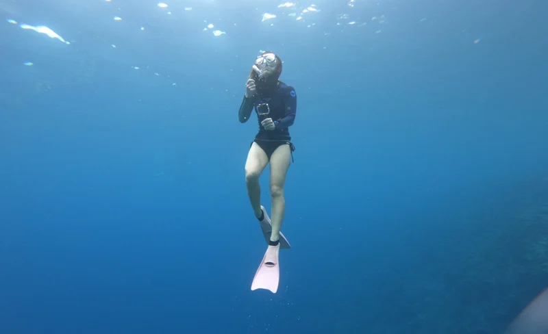 日本沖繩1日浮潛執照課程