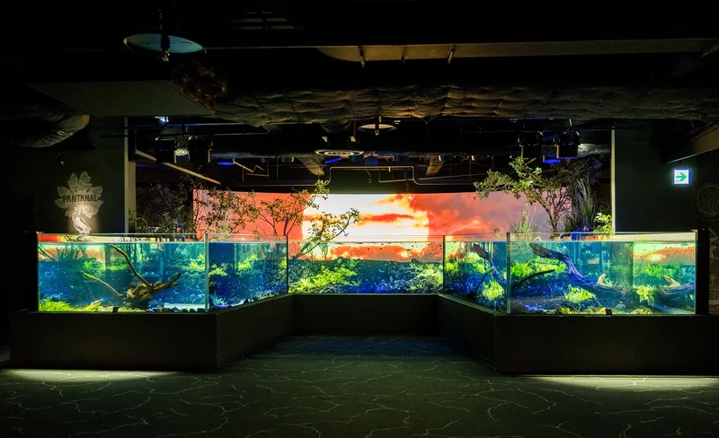 神奈川川崎水族館（Kawasui Kawasaki Aquarium）門票