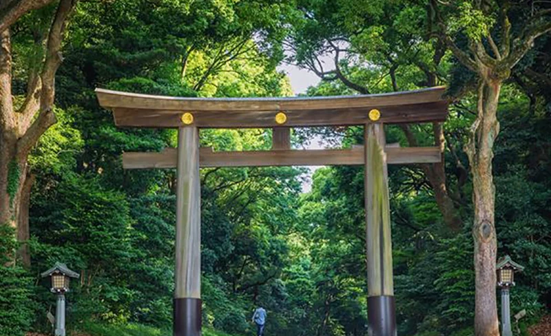 東京市區 & 明治神宮 & 淺草寺 & 柴又探索之旅