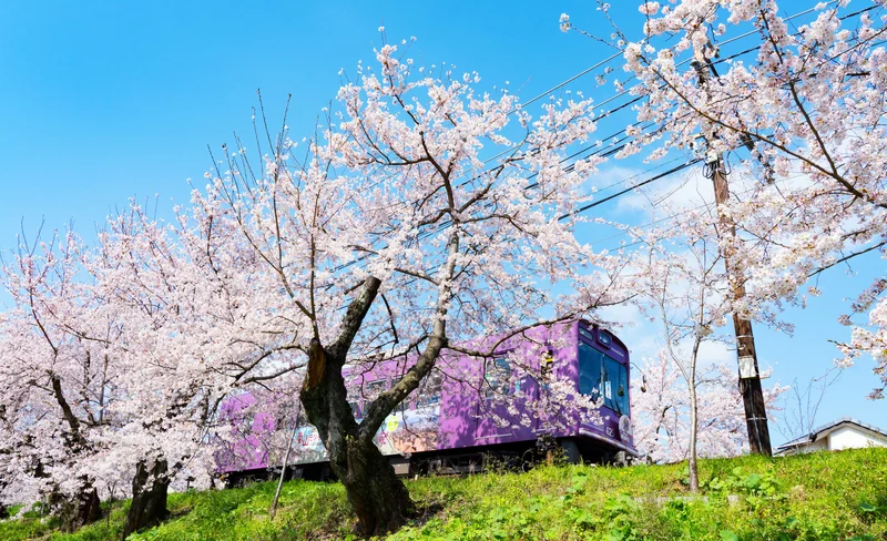 美濃吉本店 竹茂樓 傳統日式懷石料理 - 京都東山