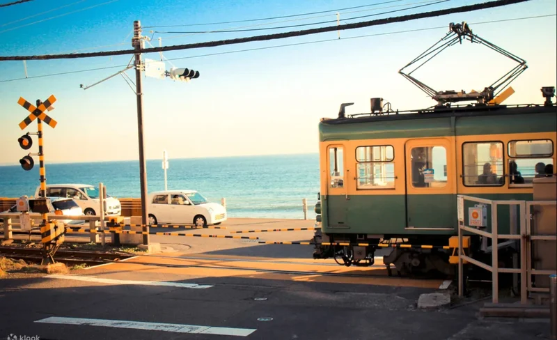 鎌倉｜鎌倉大佛＆鶴岡八幡宮＆江之島＆鎌倉高中一日遊｜東京出發