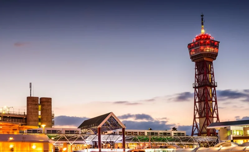 福岡市博多港私人遊船一日遊