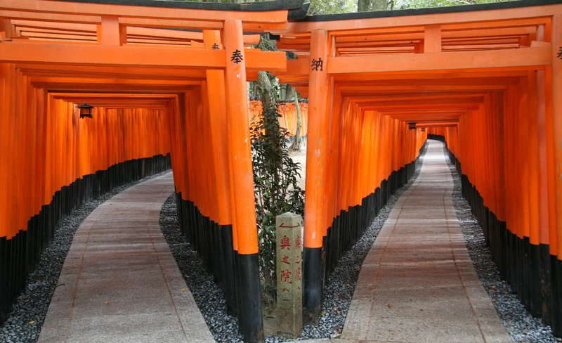 清水寺 & 伏見稻荷大社 & 奈良公園一日遊
