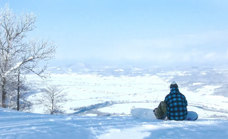 旭山動物園+美瑛青池（或網紅樹）+白鬚瀑布（或四季彩之丘）+森林精靈露臺（札幌出發）北海道一日遊