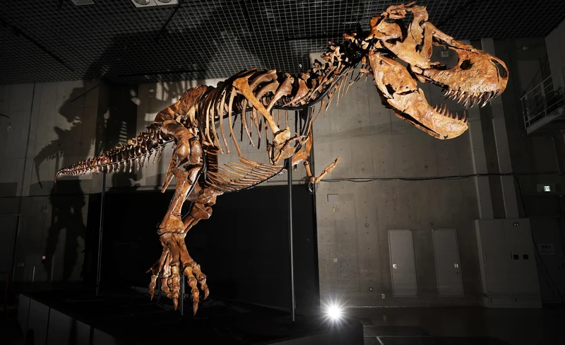 大阪市立自然史博物館2023恐龍博覽會門票