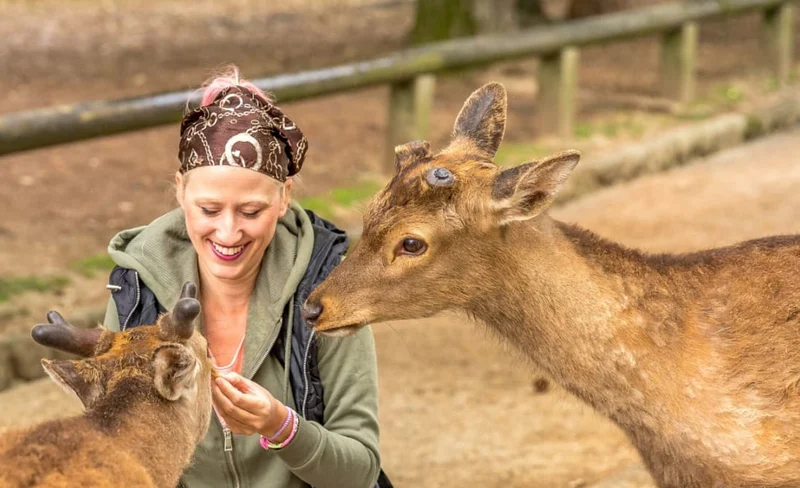 奈良一日遊（含當地導遊）- 大阪出發
