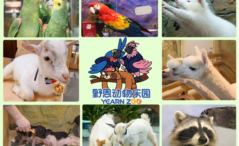 深圳野恩動物樂園（龍崗萬達廣場店）能摸、能抱、投餵互動、零距離接觸萌寵