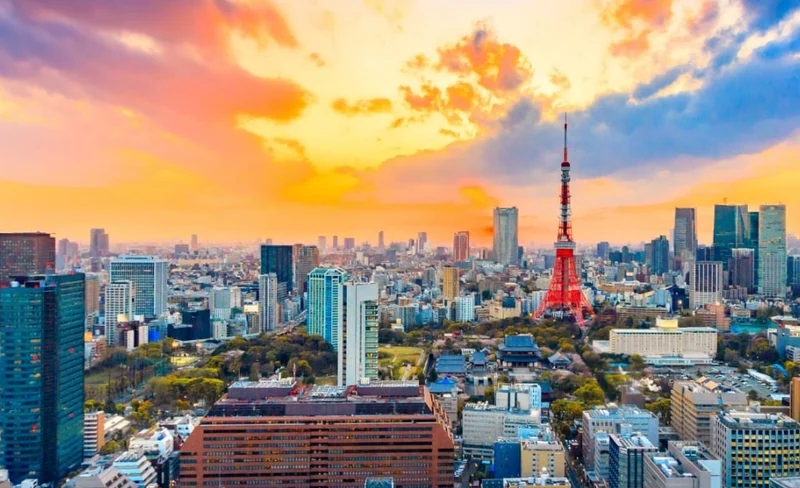 東京遊船停泊觀光一日遊（橫濱港出發）